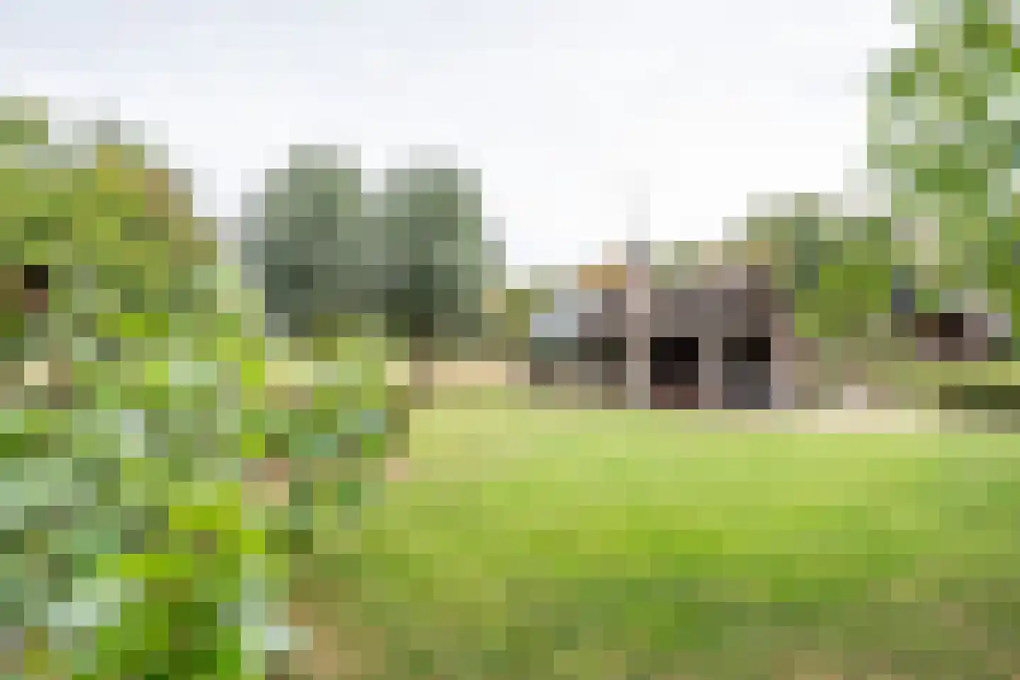 Pandelaar 87 Gemert thumbnail 36