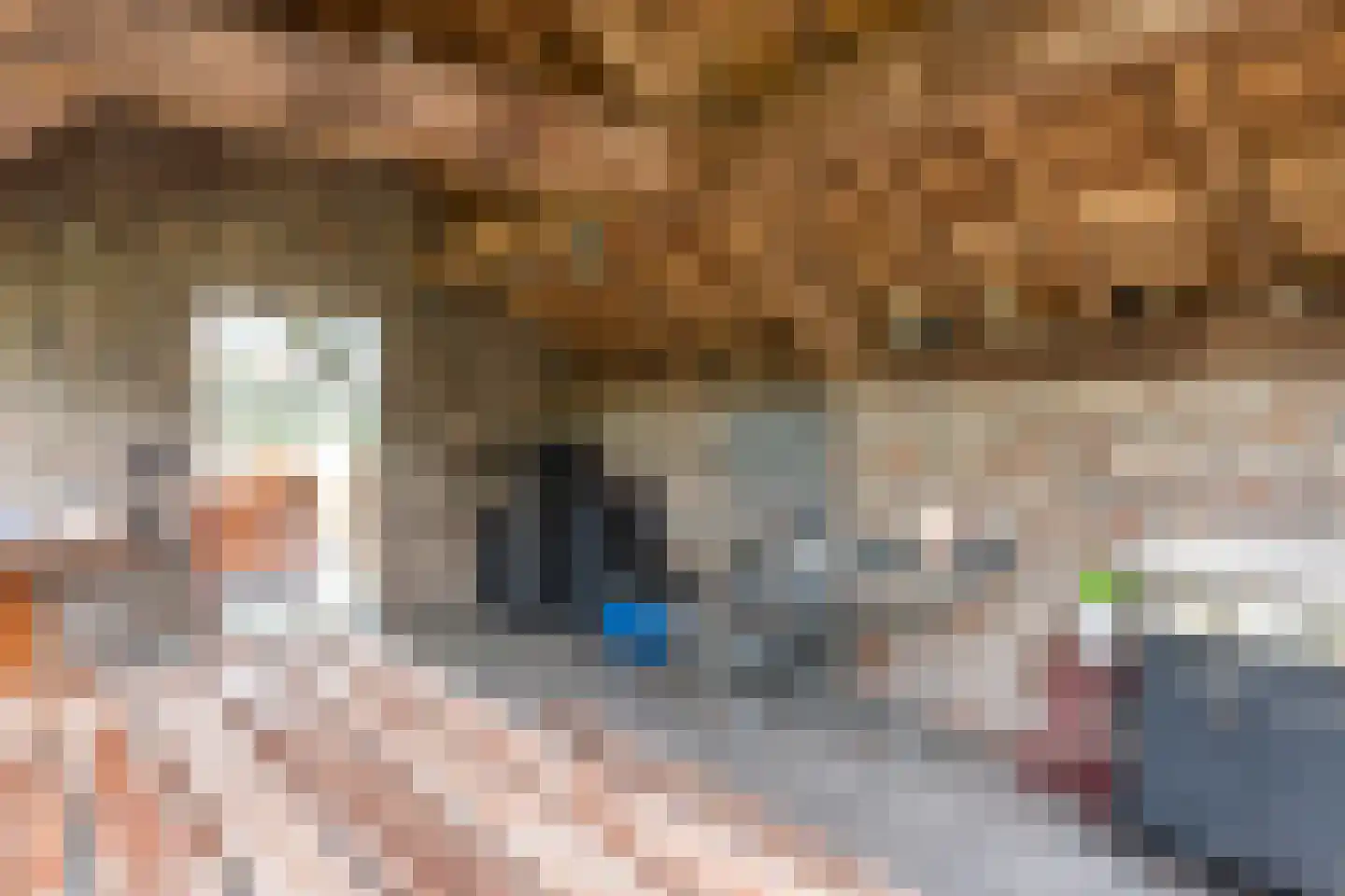 Pandelaar 87 Gemert thumbnail 37