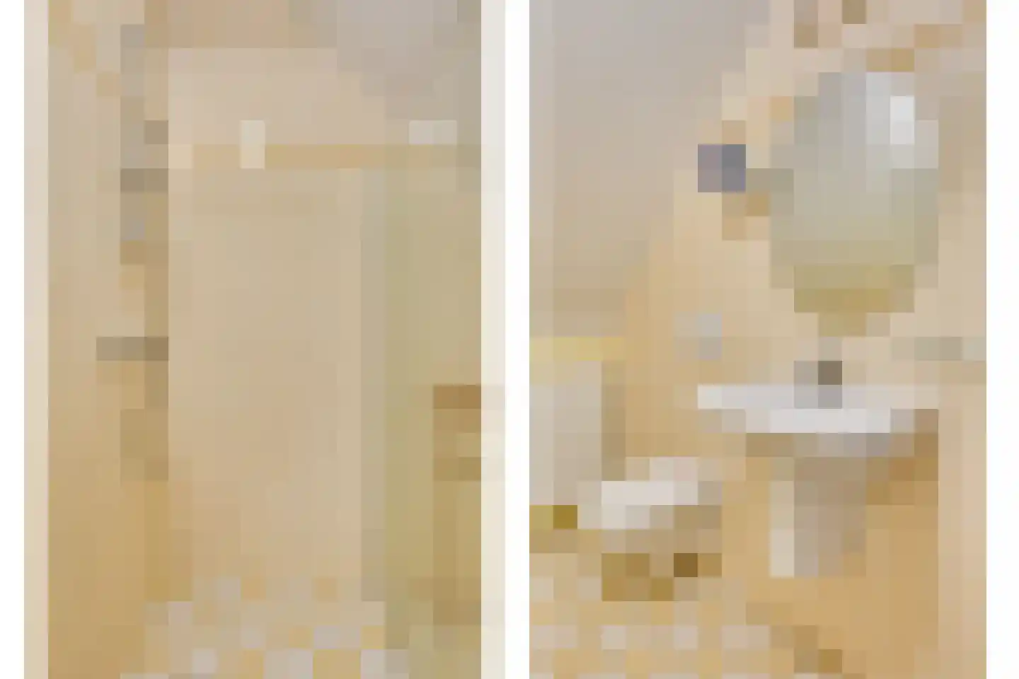 Pandelaar 87 Gemert thumbnail 37