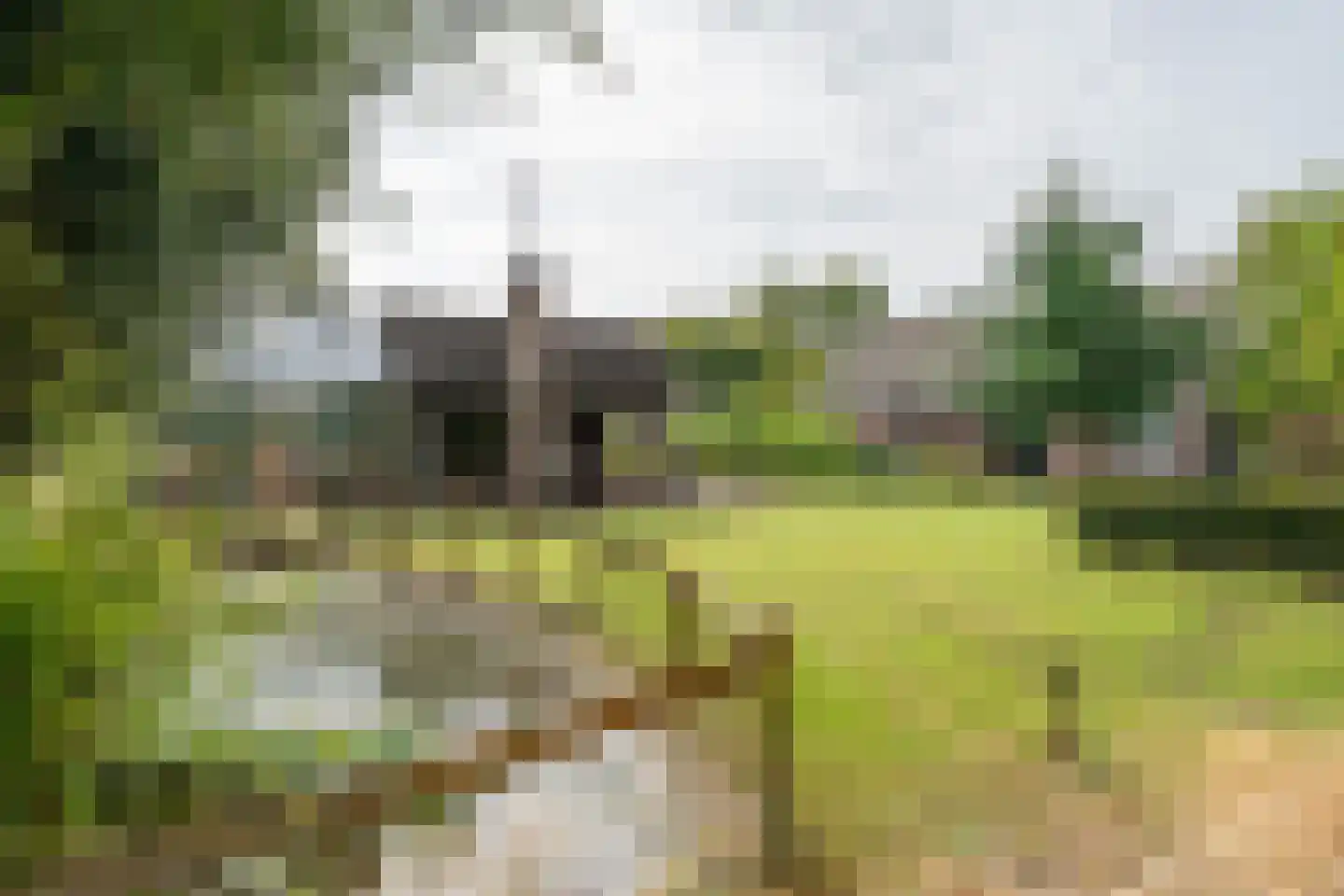 Pandelaar 87 Gemert thumbnail 38