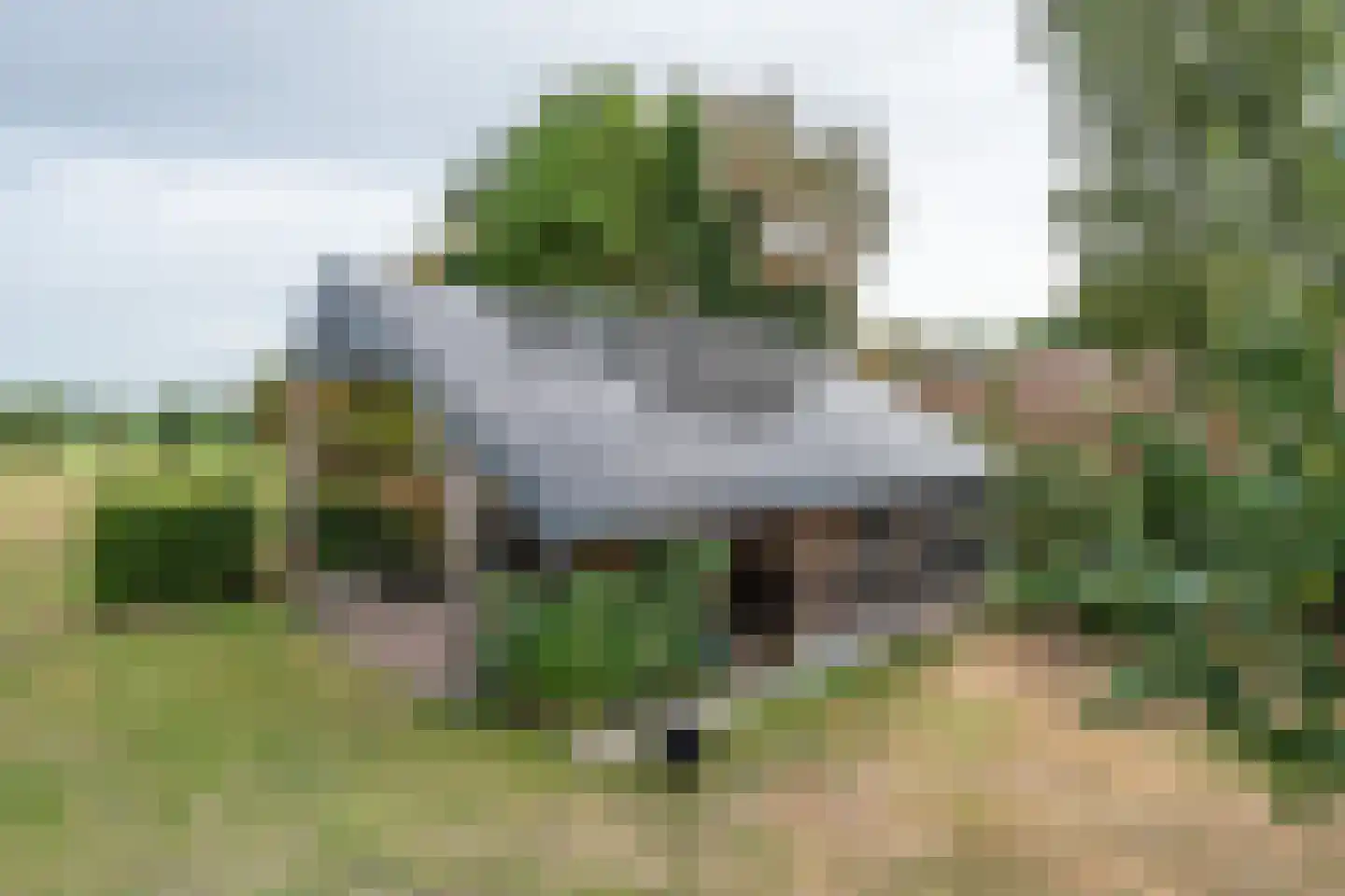 Pandelaar 87 Gemert thumbnail 39