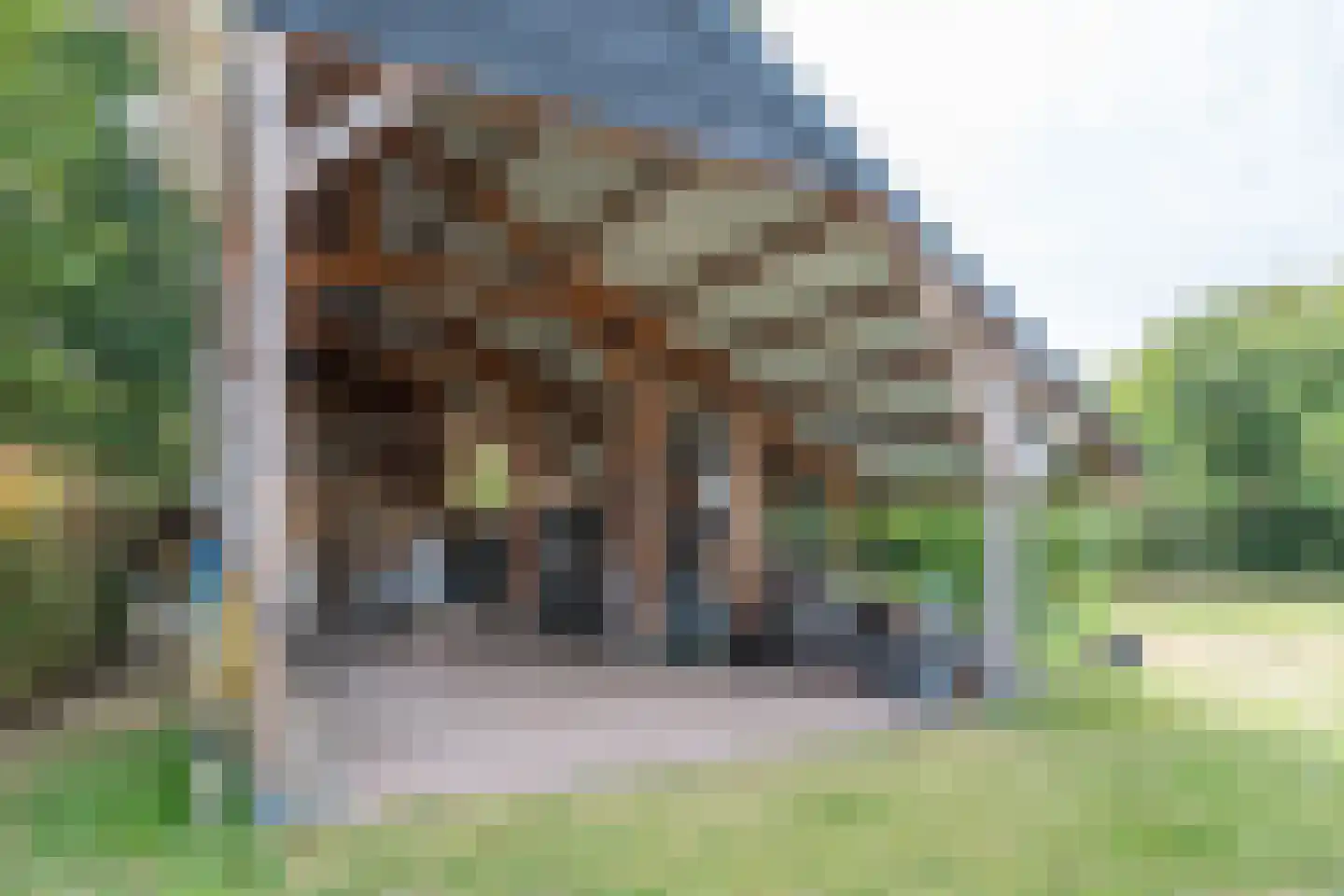 Pandelaar 87 Gemert thumbnail 40