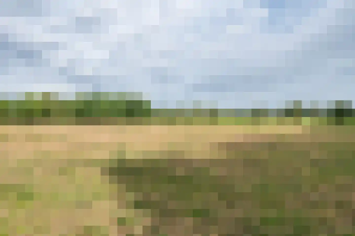 Pandelaar 87 Gemert thumbnail 44
