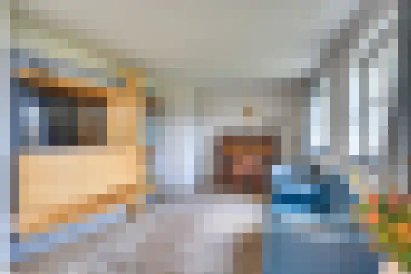 Pandelaar 87 Gemert thumbnail 52