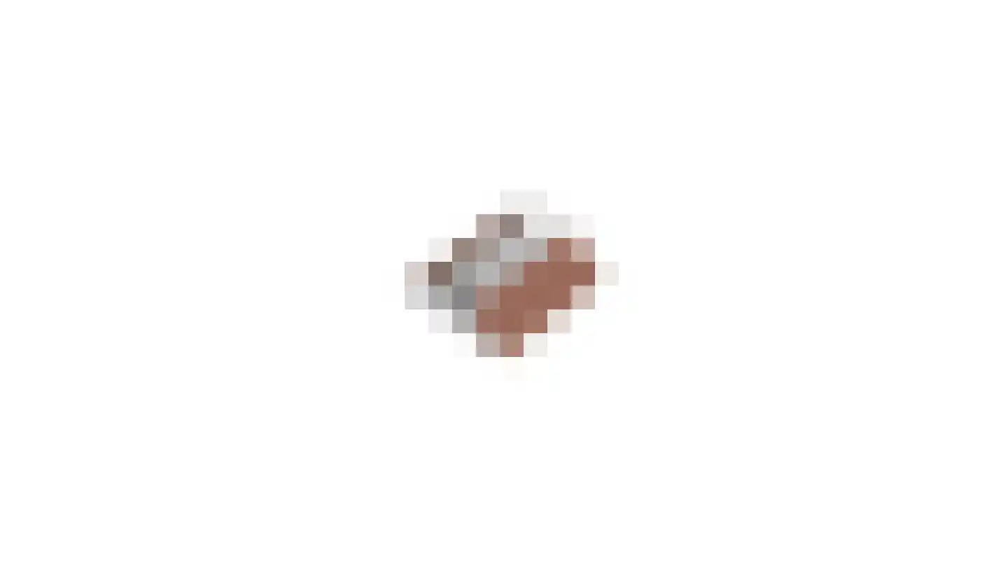 Pandelaar 87 Gemert thumbnail 59