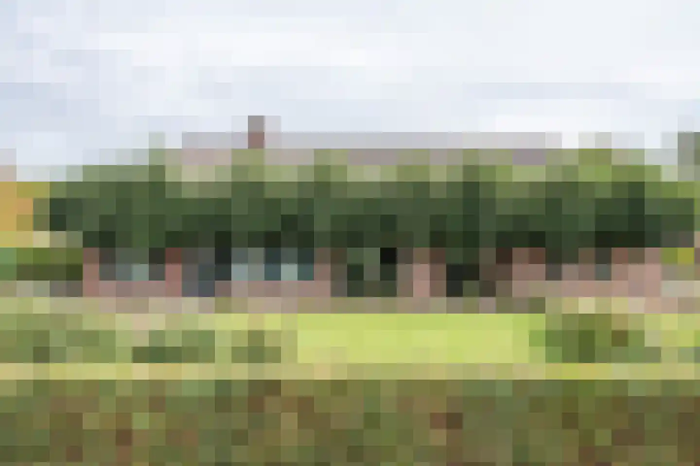 Pandelaar 87 Gemert thumbnail 6