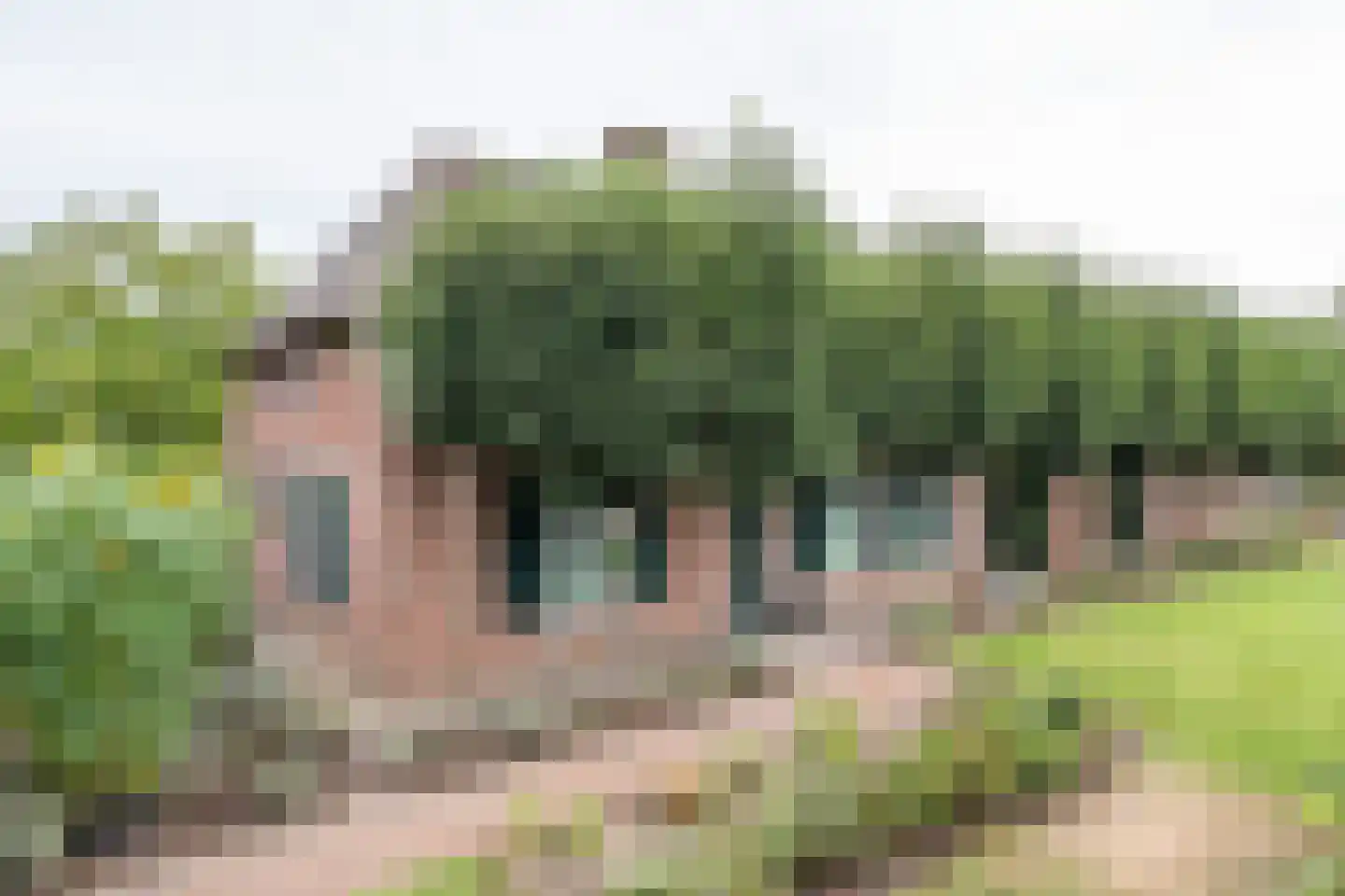Pandelaar 87 Gemert thumbnail 8