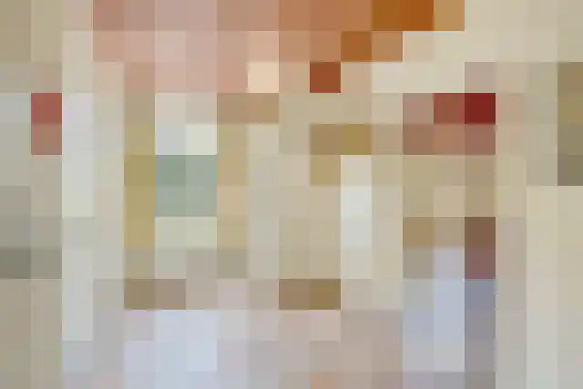 Pandelaar 91 Gemert thumbnail 10