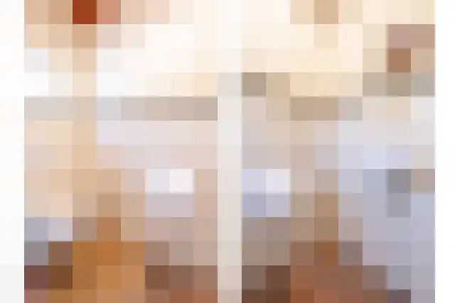 Pandelaar 91 Gemert thumbnail 11