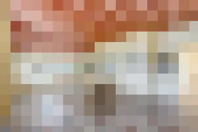 Pandelaar 91 Gemert thumbnail 13