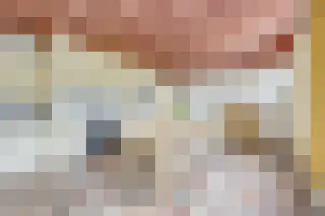 Pandelaar 91 Gemert thumbnail 14