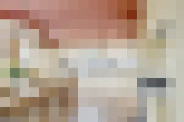 Pandelaar 91 Gemert thumbnail 15
