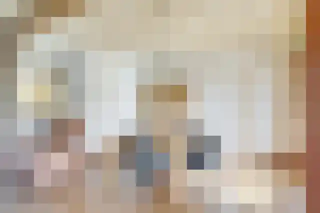 Pandelaar 91 Gemert thumbnail 17