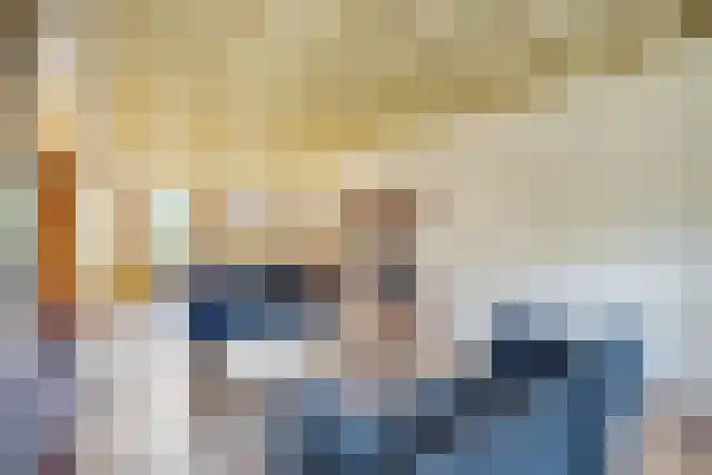 Pandelaar 91 Gemert thumbnail 20