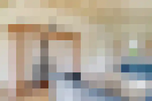 Pandelaar 91 Gemert thumbnail 23