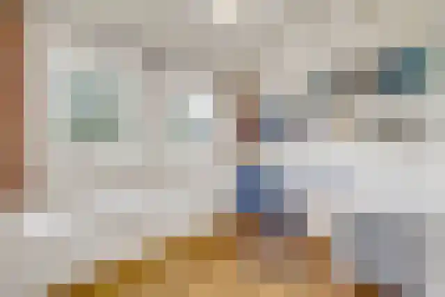 Pandelaar 91 Gemert thumbnail 32
