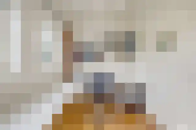 Pandelaar 91 Gemert thumbnail 33