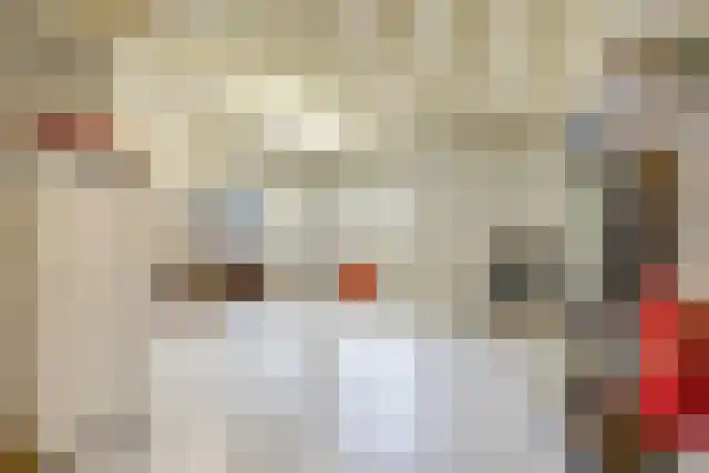 Pandelaar 91 Gemert thumbnail 34