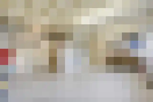 Pandelaar 91 Gemert thumbnail 35