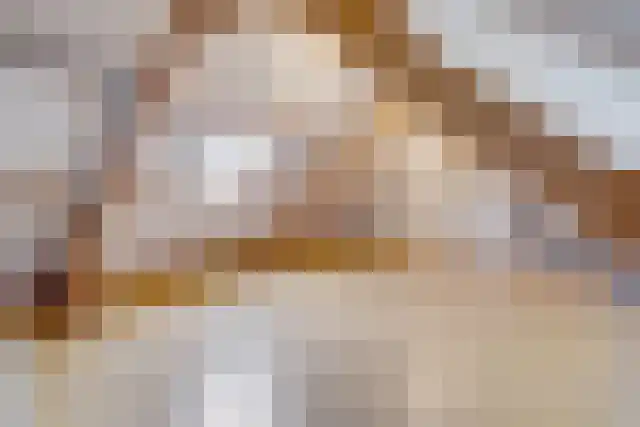 Pandelaar 91 Gemert thumbnail 36