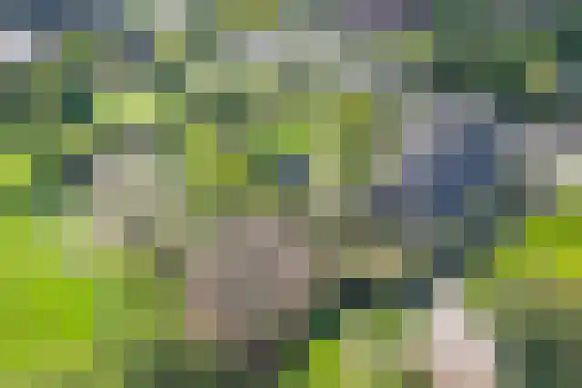 Pandelaar 91 Gemert thumbnail 4
