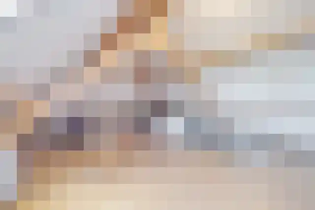 Pandelaar 91 Gemert thumbnail 40