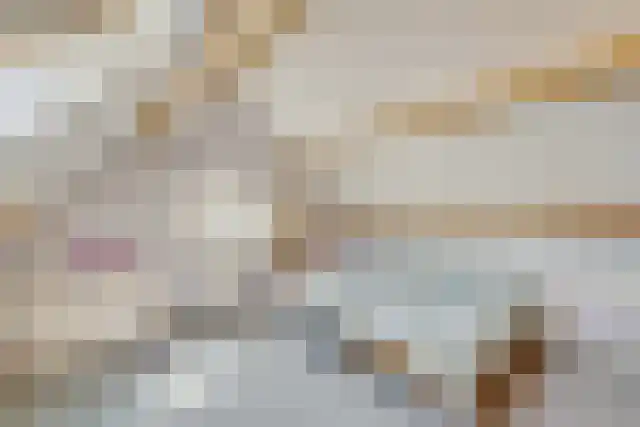 Pandelaar 91 Gemert thumbnail 41