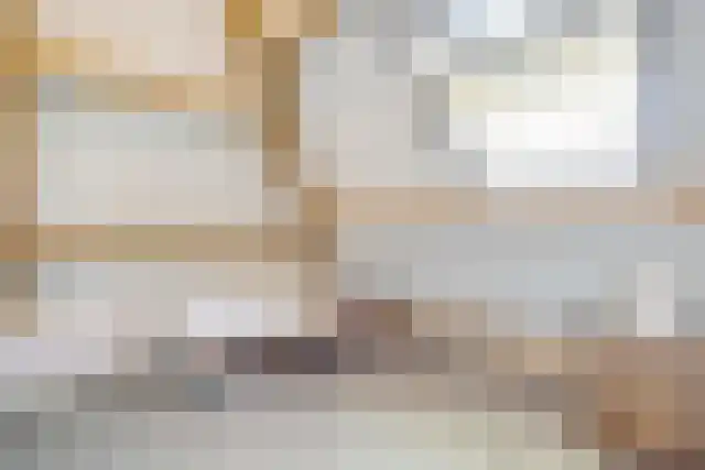 Pandelaar 91 Gemert thumbnail 43