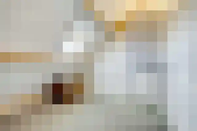 Pandelaar 91 Gemert thumbnail 44