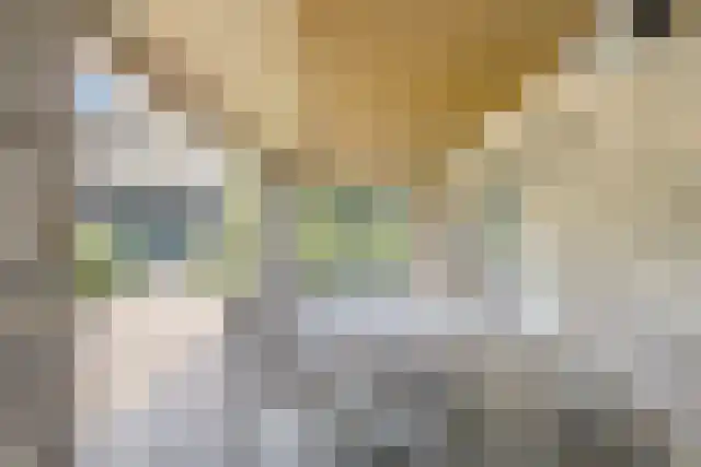 Pandelaar 91 Gemert thumbnail 49