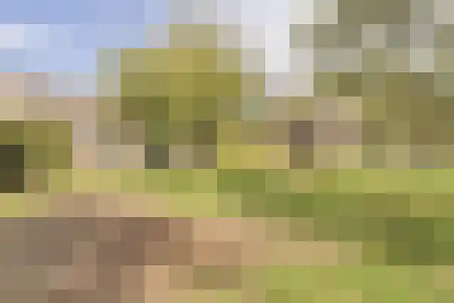 Pandelaar 91 Gemert thumbnail 5