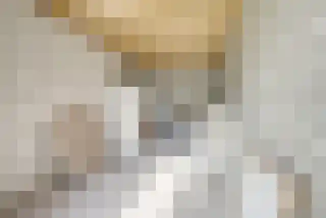 Pandelaar 91 Gemert thumbnail 50