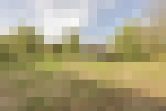 Pandelaar 91 Gemert thumbnail 52