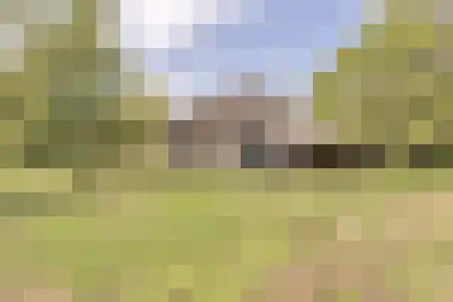 Pandelaar 91 Gemert thumbnail 53