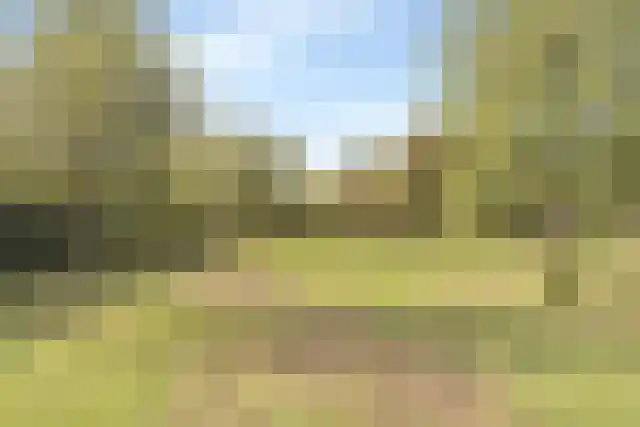 Pandelaar 91 Gemert thumbnail 54