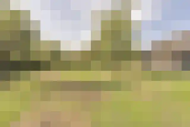 Pandelaar 91 Gemert thumbnail 55