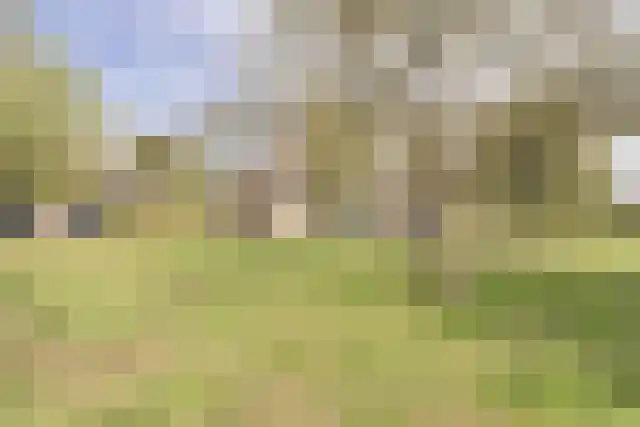 Pandelaar 91 Gemert thumbnail 56