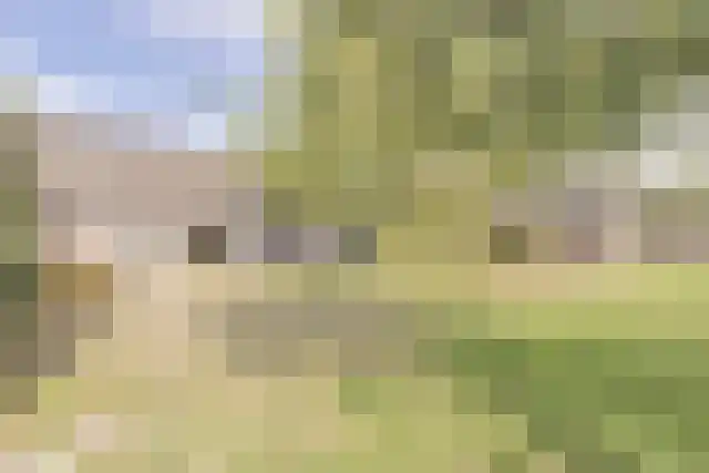 Pandelaar 91 Gemert thumbnail 58