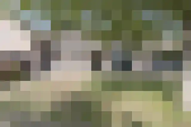 Pandelaar 91 Gemert thumbnail 59