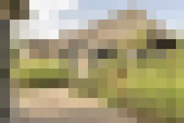 Pandelaar 91 Gemert thumbnail 6