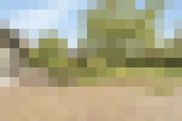 Pandelaar 91 Gemert thumbnail 61