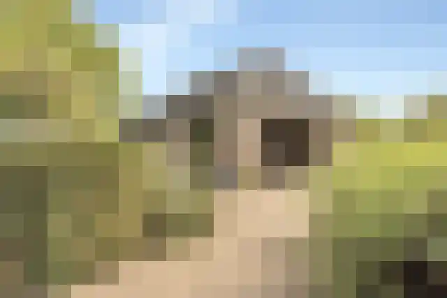 Pandelaar 91 Gemert thumbnail 62