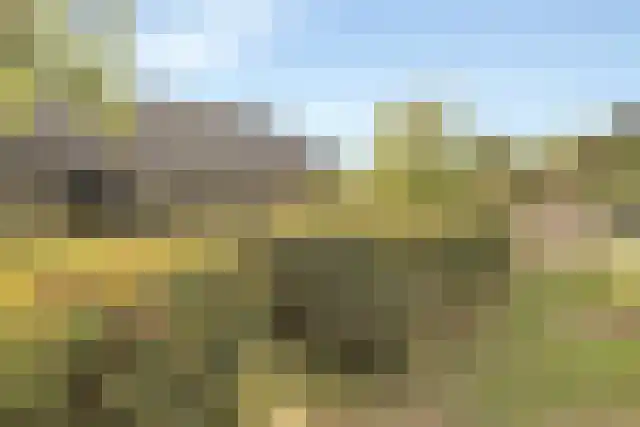 Pandelaar 91 Gemert thumbnail 64