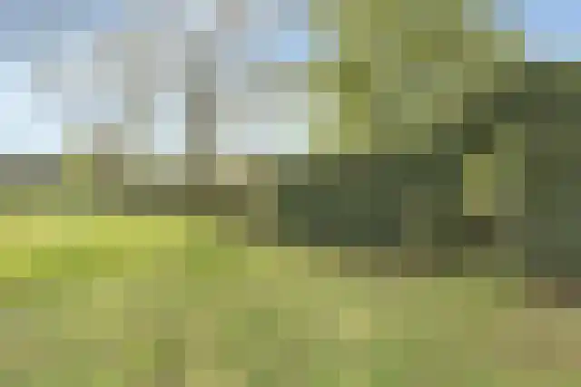 Pandelaar 91 Gemert thumbnail 66