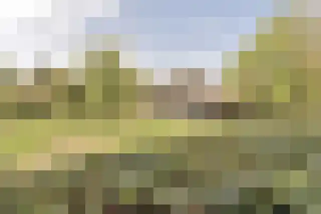 Pandelaar 91 Gemert thumbnail 67