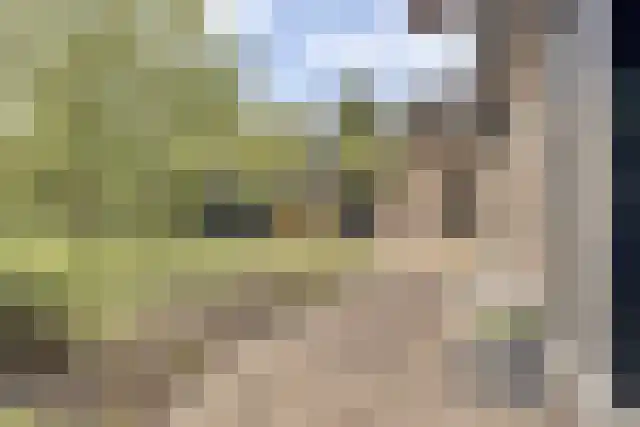 Pandelaar 91 Gemert thumbnail 69
