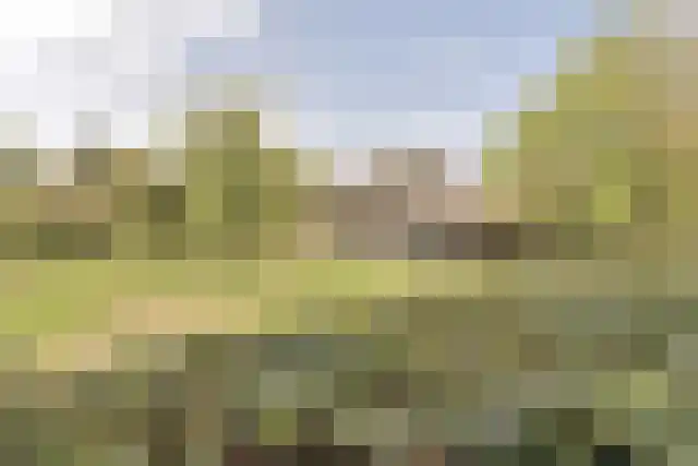 Pandelaar 91 Gemert thumbnail 7