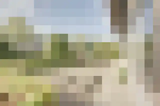 Pandelaar 91 Gemert thumbnail 70