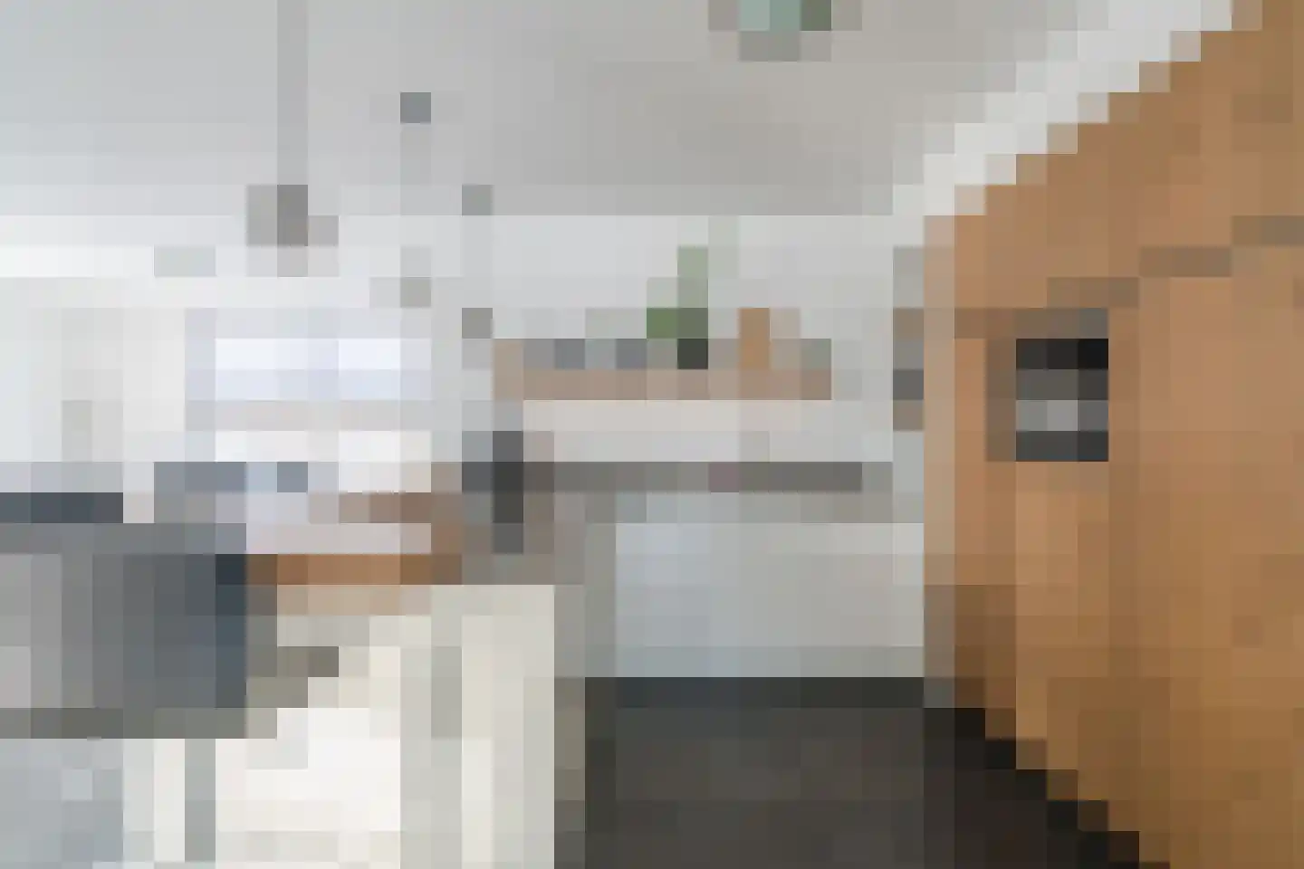 Pandelaarse Kampen 24 Gemert thumbnail 15