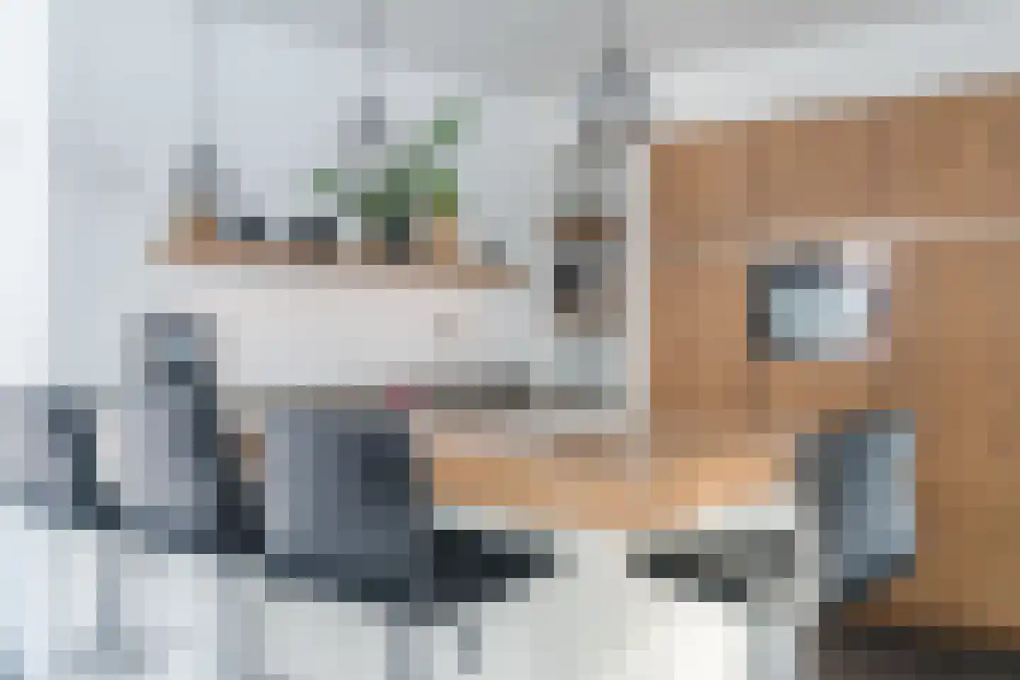 Pandelaarse Kampen 24 Gemert thumbnail 16